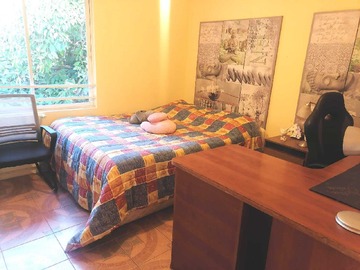 Imagen 16