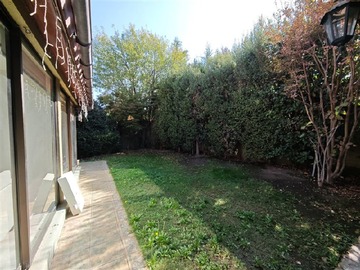 Imagen 16