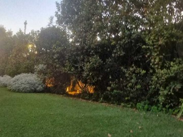 Imagen 17
