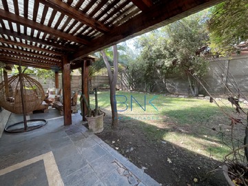Imagen 19