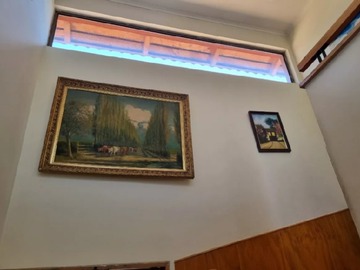 Imagen 9