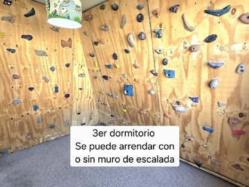 Imagen 11