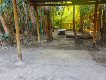 Imagen 15