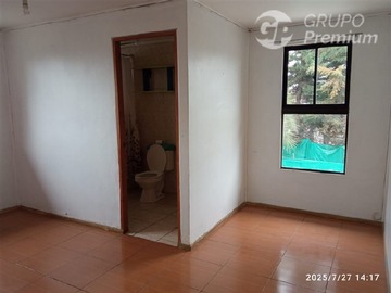 Imagen 11