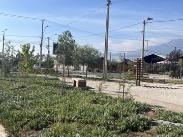 Imagen 11