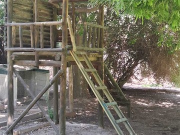 Imagen 20