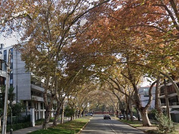 Calle Diego de Almagro