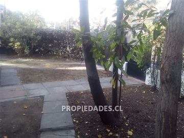 Imagen 17