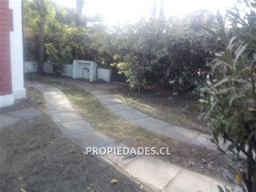 Imagen 15