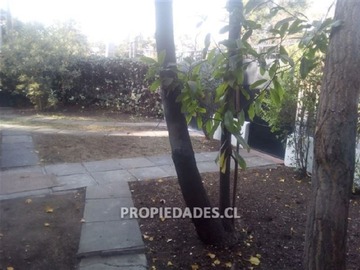 Imagen 16