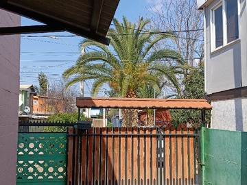 Imagen 10
