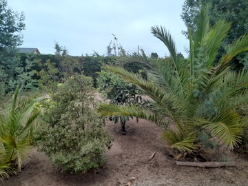 Imagen 4