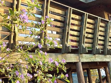 Arriendo Mensual / Casa / Puchuncaví