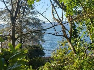 Arriendo Mensual / Casa / Pucón