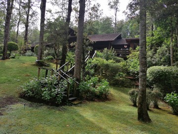 Arriendo Mensual / Casa / Pucón