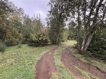 Imagen 21
