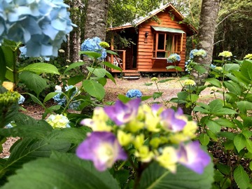 Arriendo Mensual / Casa / Pucón