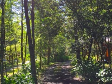 Arriendo Mensual / Casa / Pucón