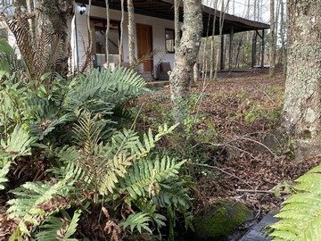 Arriendo Mensual / Casa / Pucón