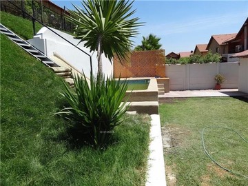 Imagen 6