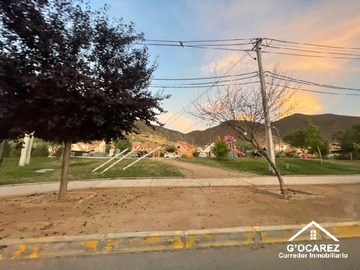 Imagen 11