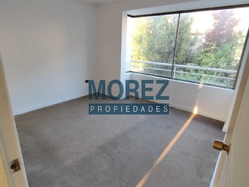 Imagen 12
