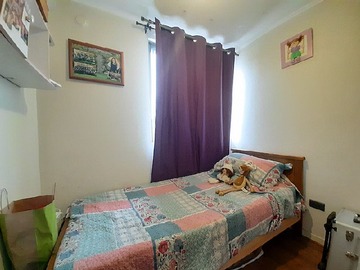 Imagen 14