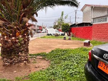 Imagen 14
