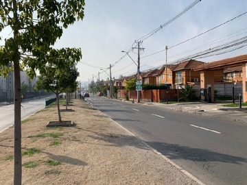 Imagen 19