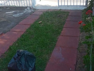 Imagen 5