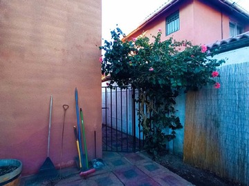Imagen 6