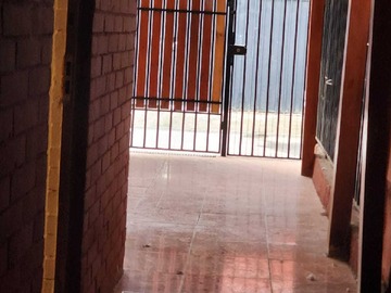 Imagen 5