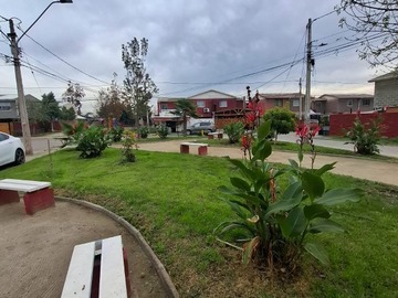 Imagen 29