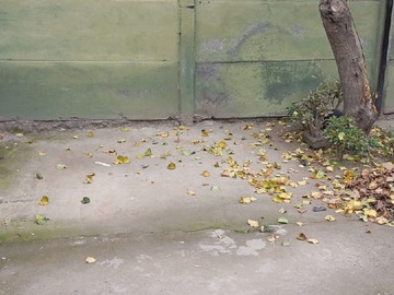 Imagen 8