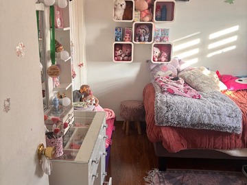 Imagen 26