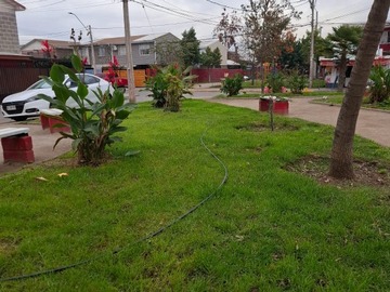 Imagen 28