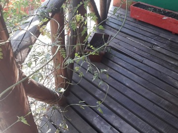 Arriendo Mensual / Casa / Puente Alto