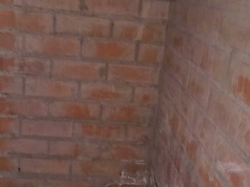 Imagen 7