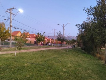 Imagen 5