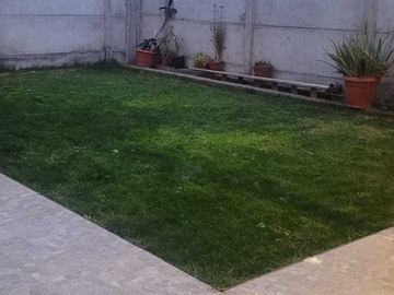 Imagen 20