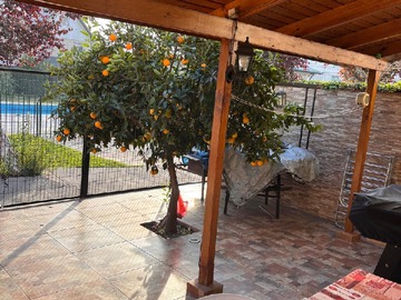 Imagen 5