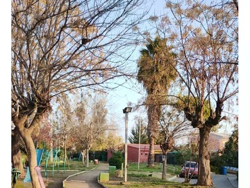 Imagen 13