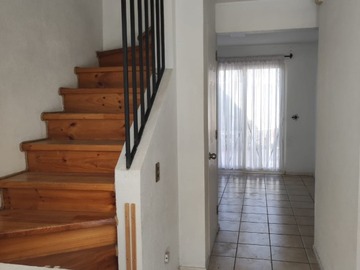 Imagen 5