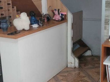 Imagen 9