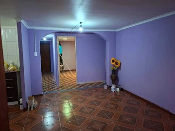 Imagen 14