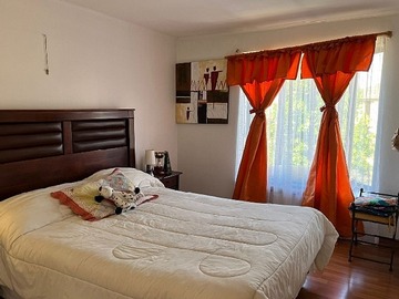Imagen 11