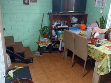 Imagen 7