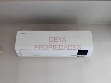 Imagen 16