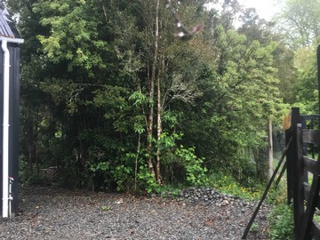 Arriendo Mensual / Casa / Puerto Montt