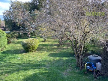 Imagen 26